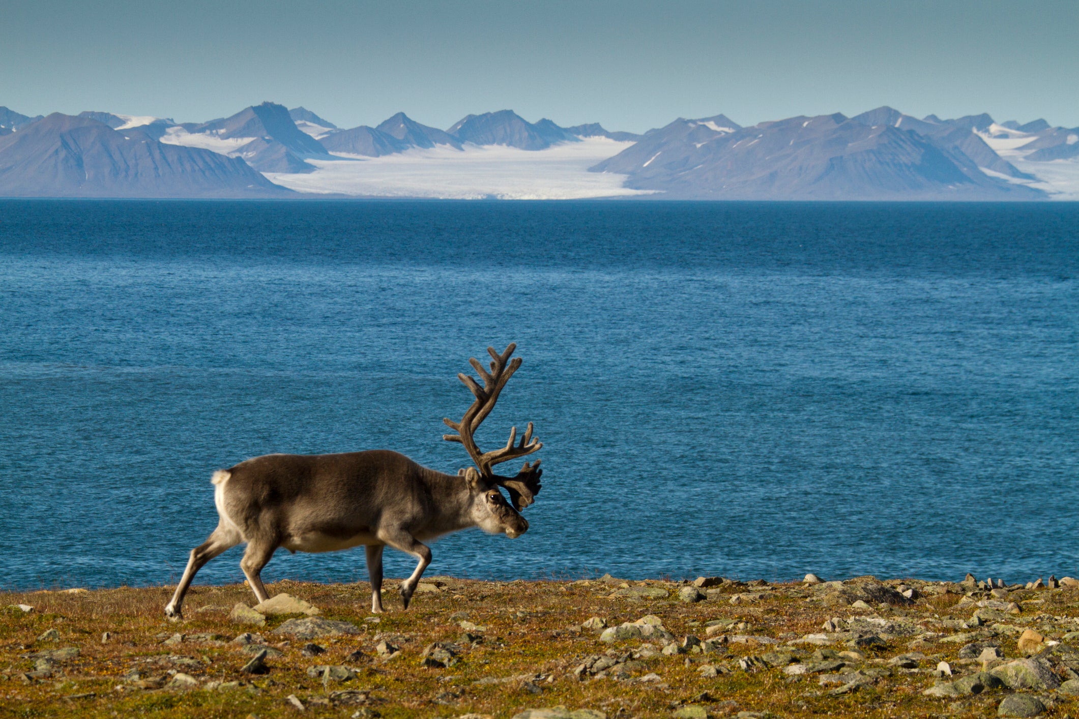 Архипелагът Свалбард – най-северната приказка за пораснали