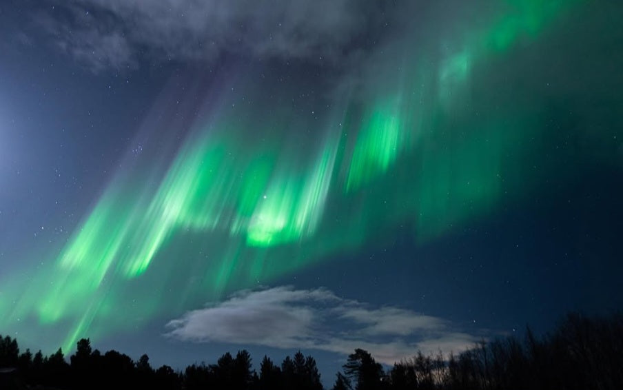 Северното сияние, Снежната Кралица и еленчето Рудолф с Лора Валери