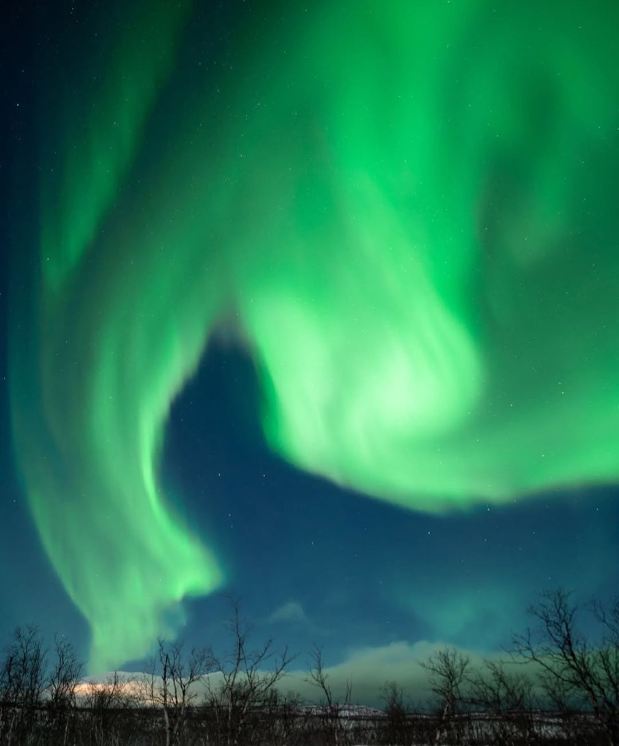 Северното сияние, Снежната Кралица и еленчето Рудолф с Лора Валери